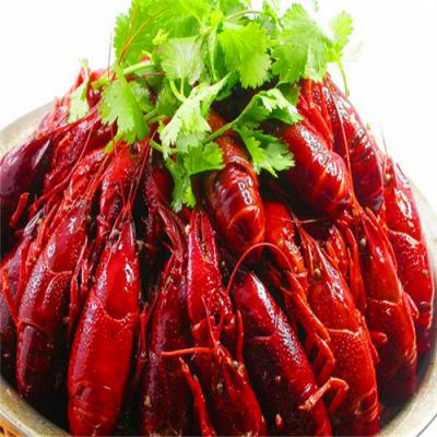 四川麻辣小龙虾技术黄色网站快活视频免费哪里好？底料熬制方法