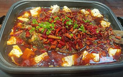 想学炭火锅烤鱼技术哪里有？